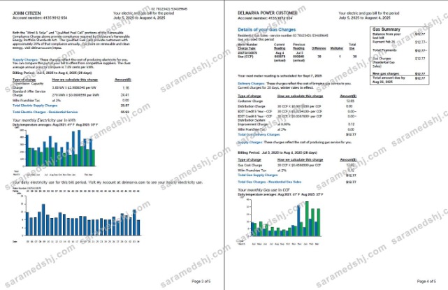 USA Delmarva Power utility bill template in Word and PDF formats, 5 pages, 3-4 pages